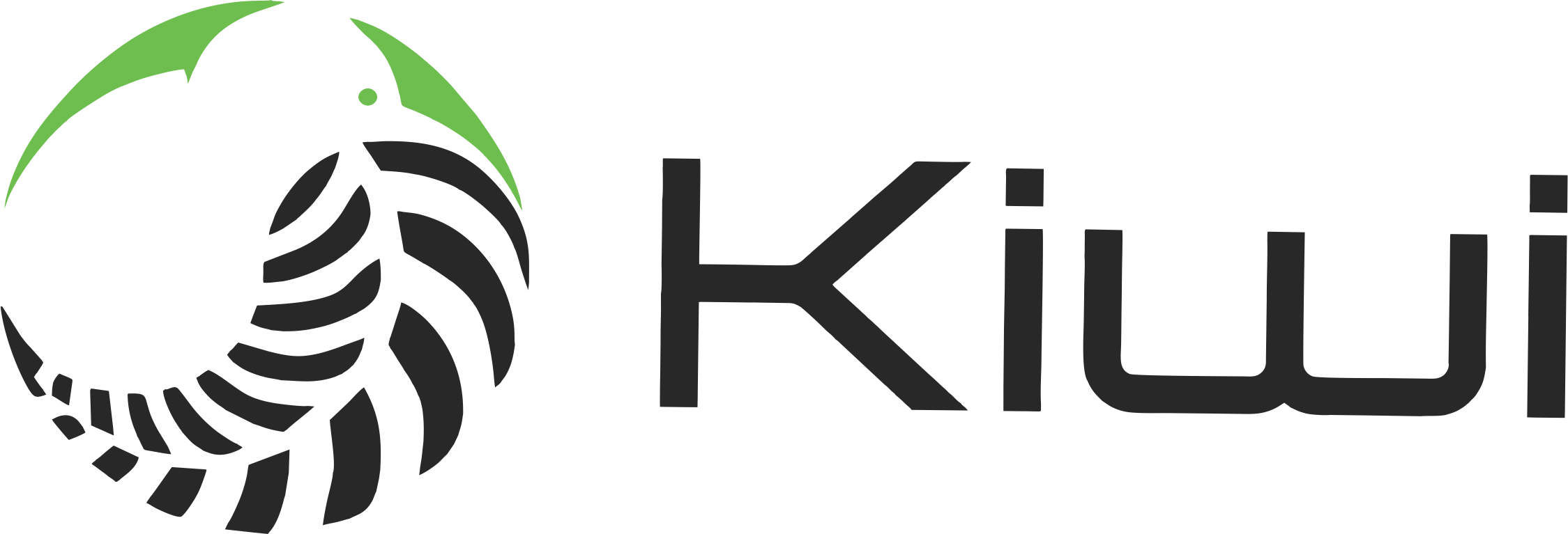 Kiwi Paddle & Co.
